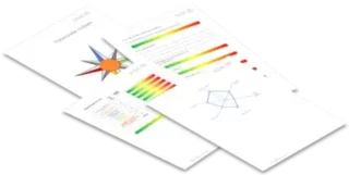 Unternehmer-Check mit dem Organisationskompass als Potenzialanalyse
